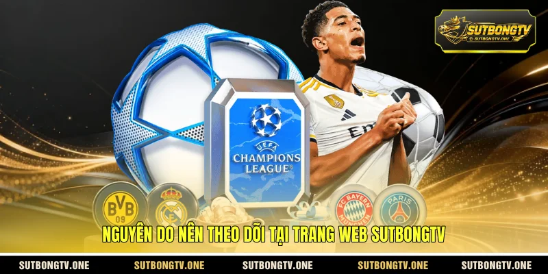 Nguyên do nên theo dõi tại trang web SUTBONGTV