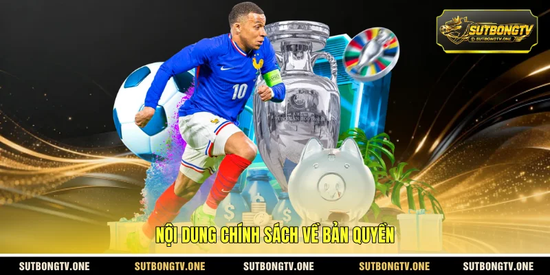 Nội dung chính sách về bản quyền 