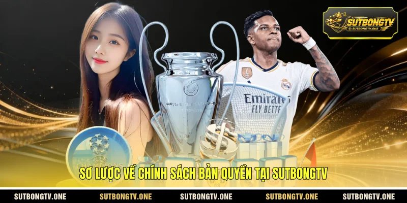 Sơ lược về chính sách bản quyền tại SUTBONGTV