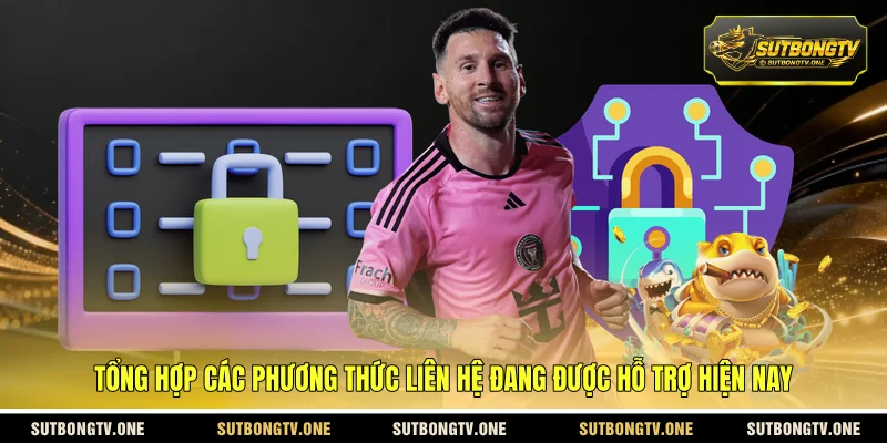 Tổng hợp các phương thức liên hệ đang được hỗ trợ hiện nay